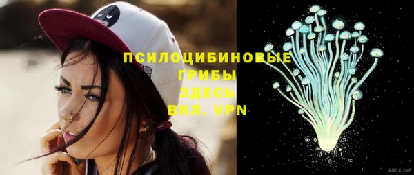 a pvp Белая Холуница