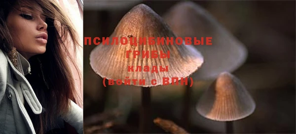дживик Тавда