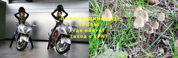 прущая мука Болхов
