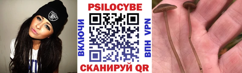 Псилоцибиновые грибы ЛСД  Щёкино 