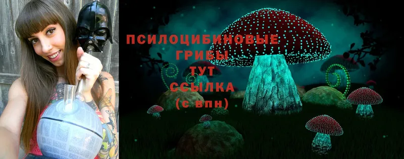 где купить наркотик  МЕГА ссылки  Псилоцибиновые грибы Cubensis  Щёкино 