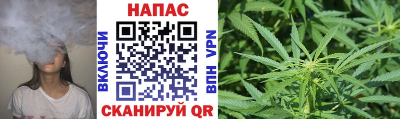 Бошки Шишки конопля  mega онион  Щёкино 